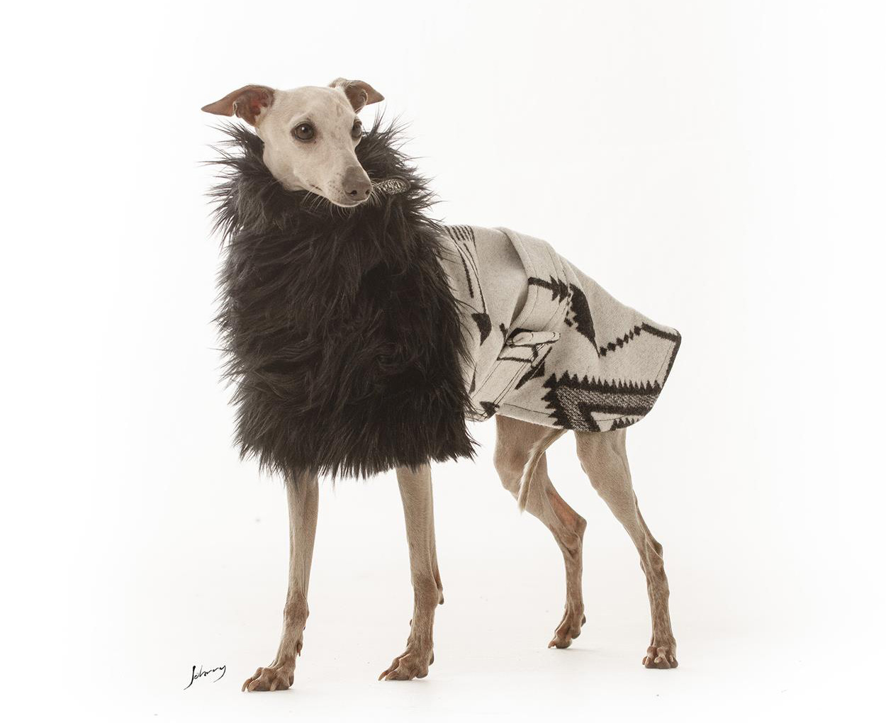 CLIQUE NA FOTO - Inverno chic $ 1.235,00