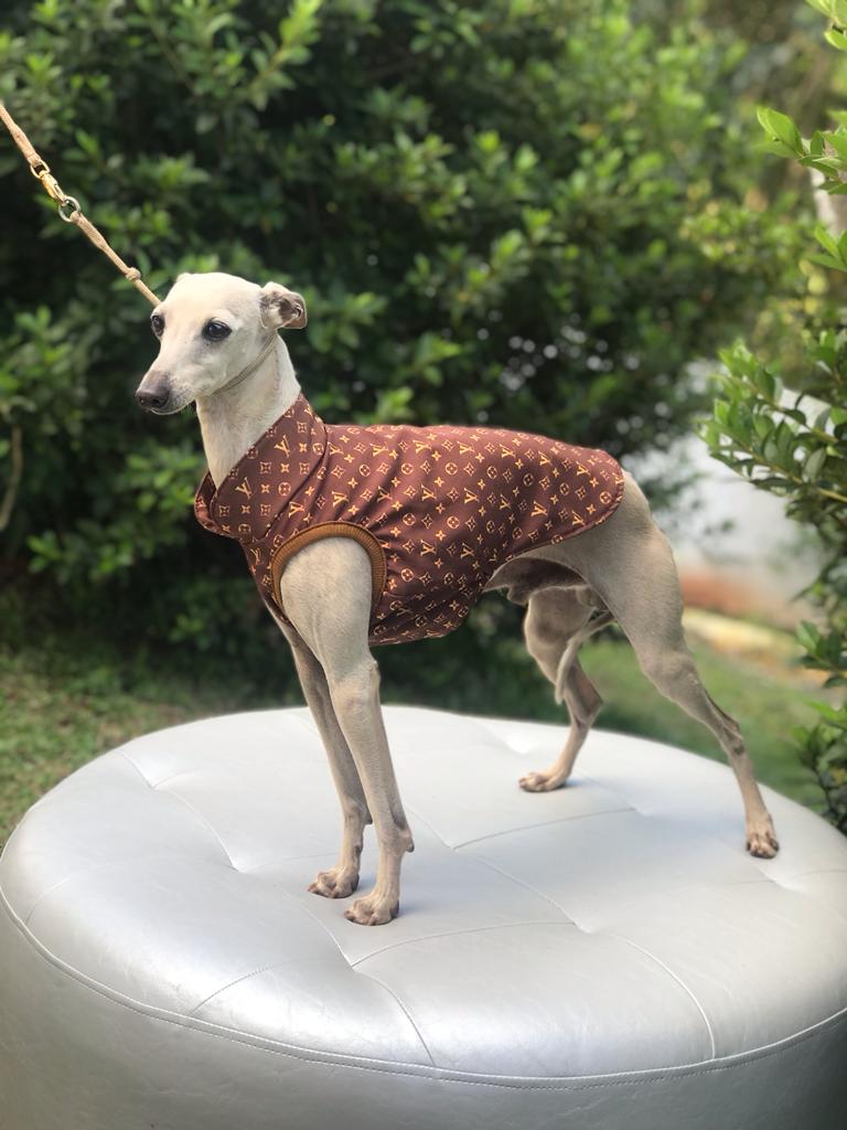 CLIQUE NA FOTO - Coleção Grifinha Ziri R$ 198,00 + frete