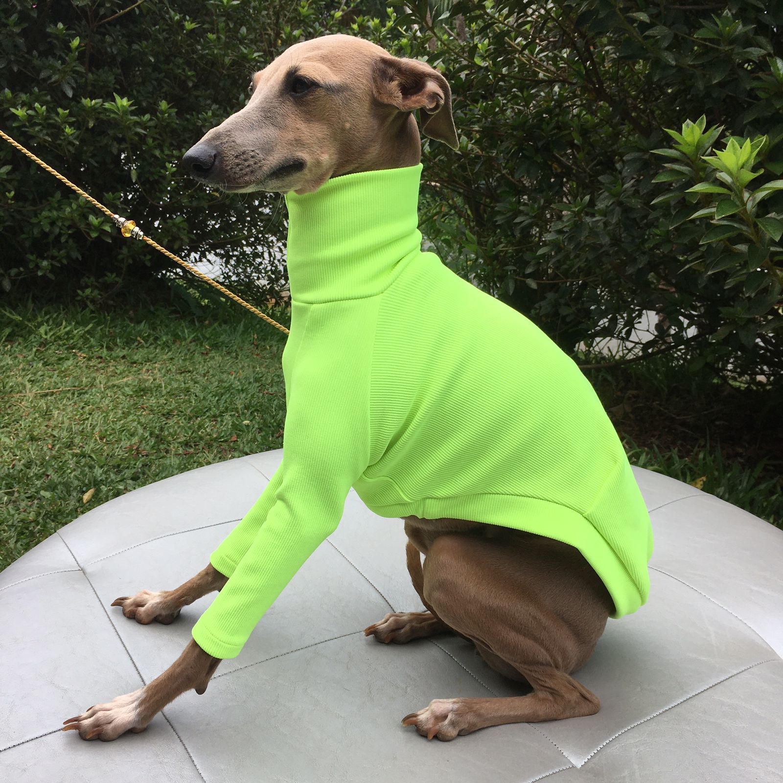 CLIQUE NA FOTO - Cacharrel  R$ 198,00 + frete