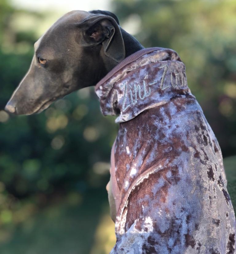 CLIQUE NA FOTO - Colete Veludo  $ 198,00
TAM Galguinhos e Whippets