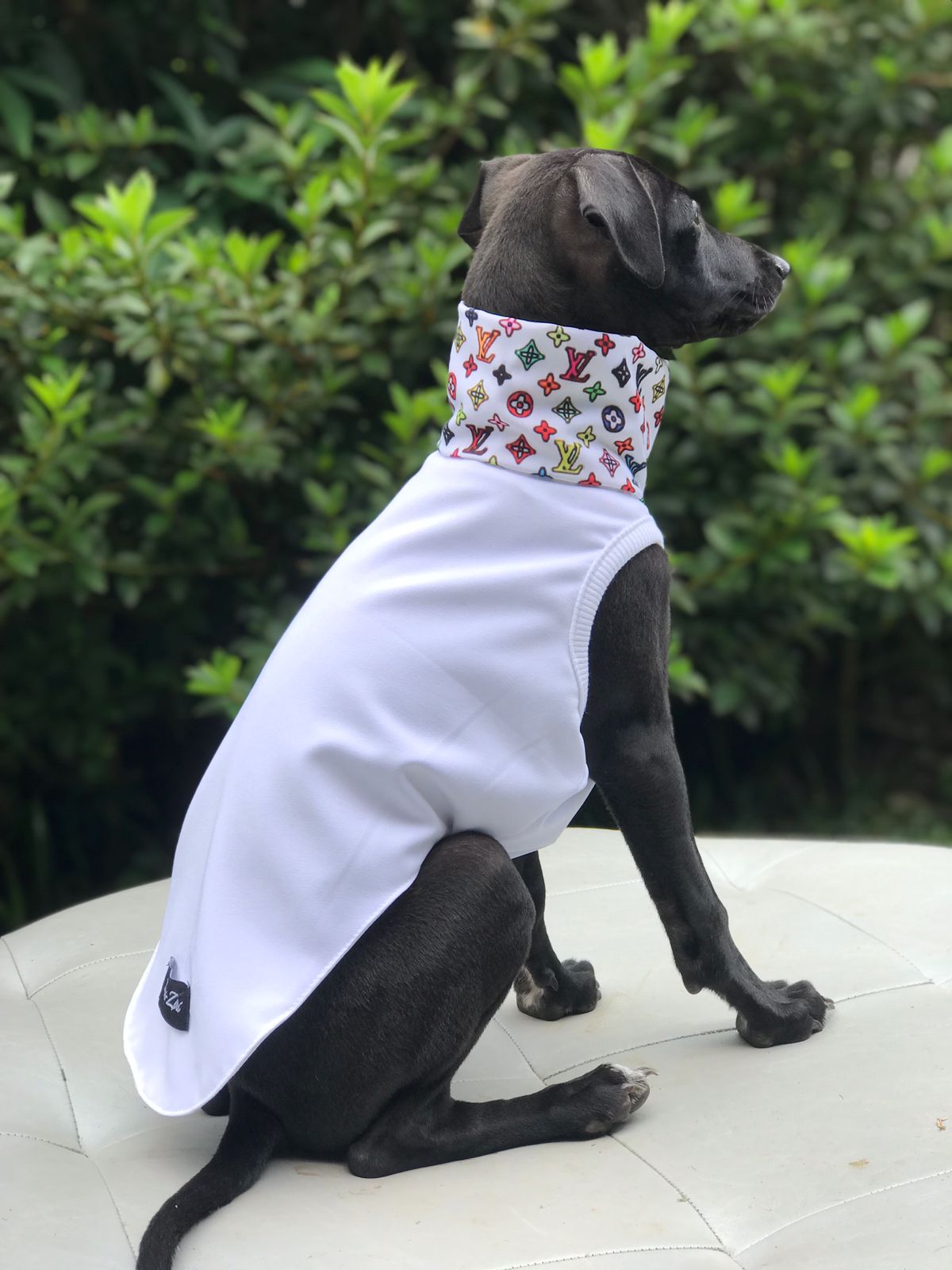 CLIQUE NA FOTO - Coleção Grifinha Ziri R$ 198,00 + frete