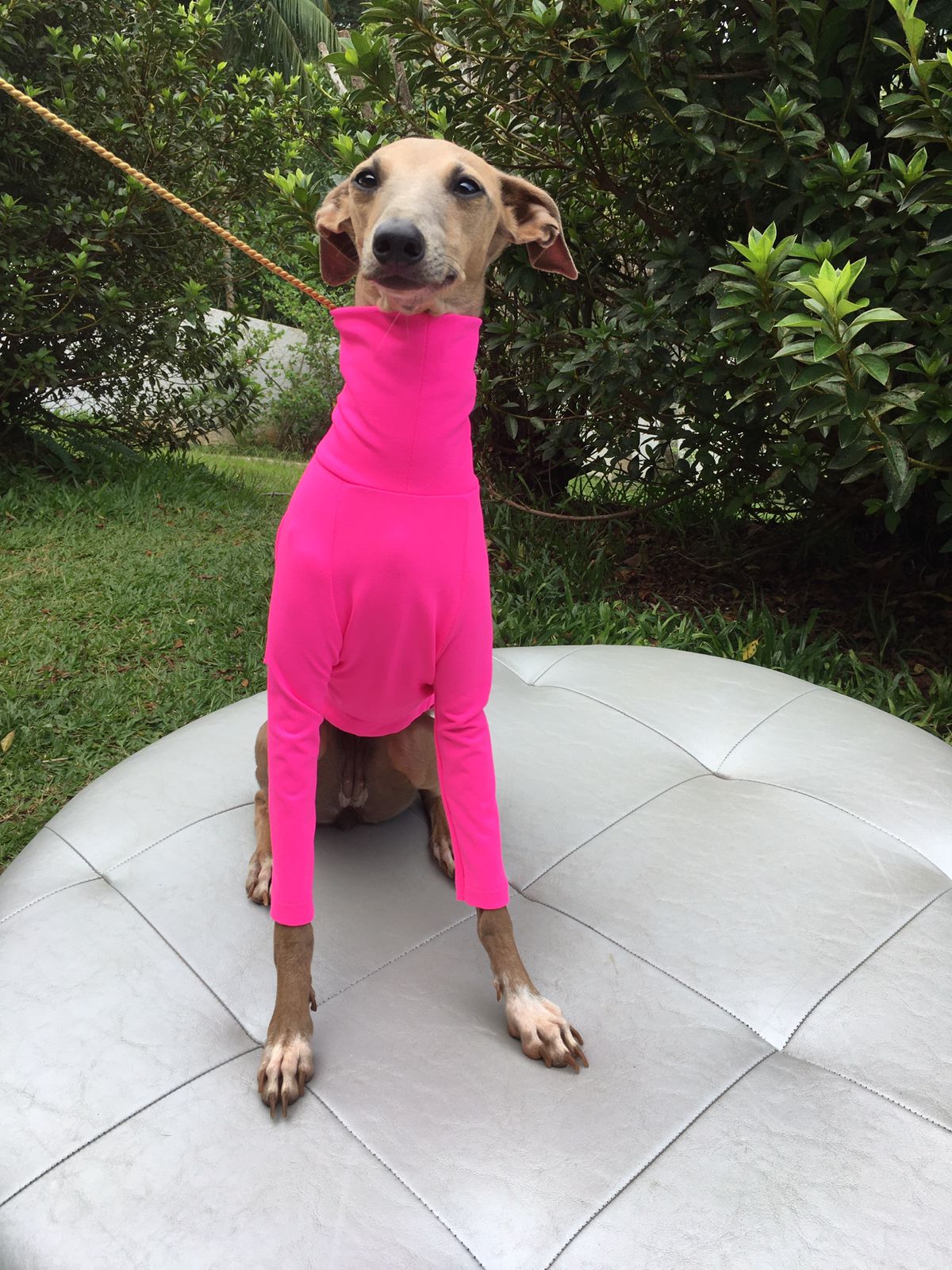 CLIQUE NA FOTO - Cacharrel  R$ 198,00 + frete