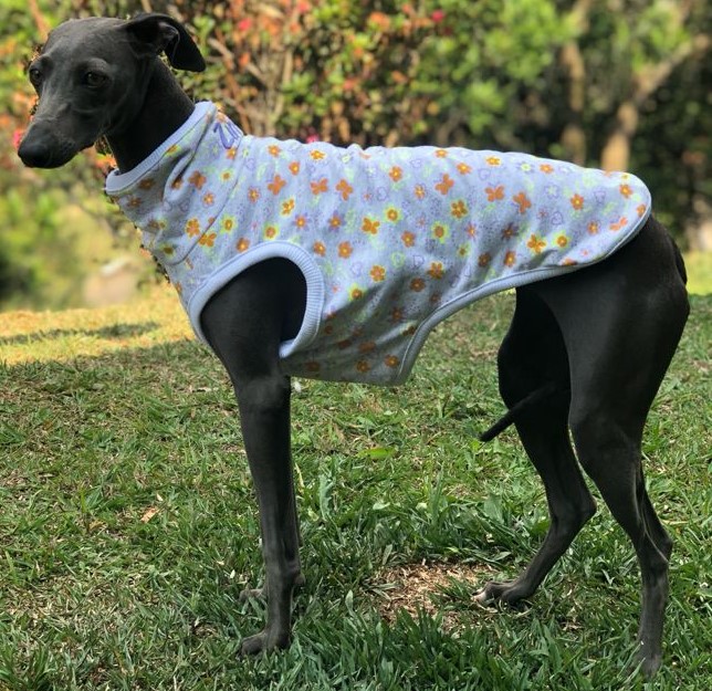 CLIQUE NA FOTO - 
TAM Galguinhos e Whippets
R$ 120,00 Dupla face