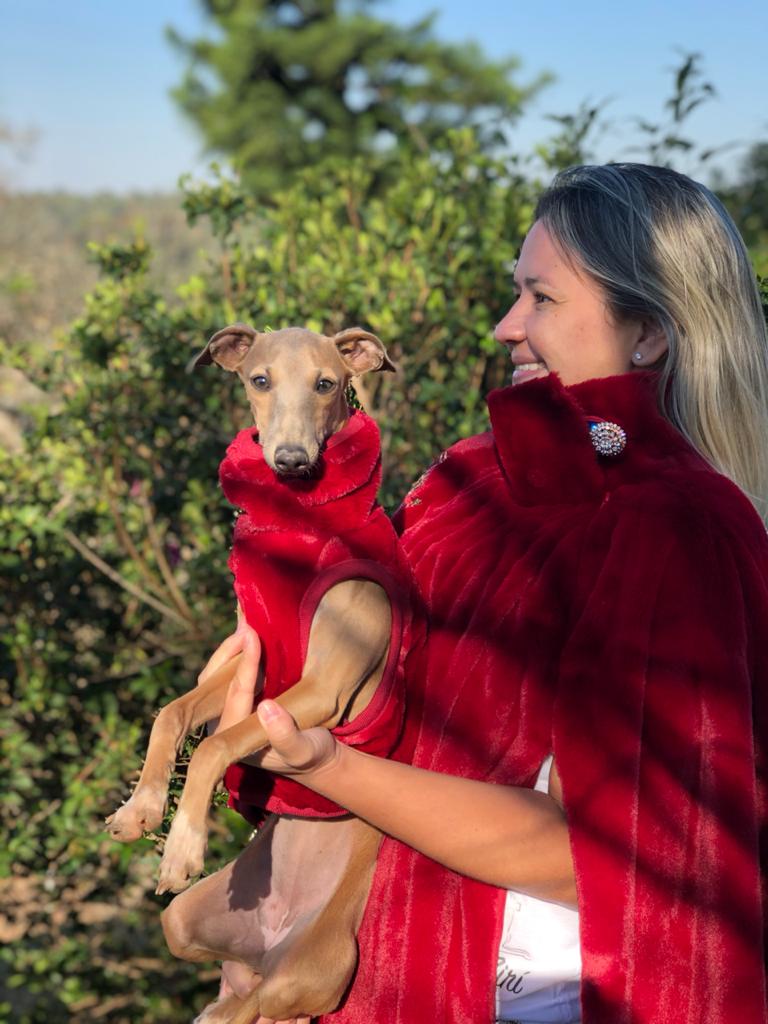 CLIQUE NA FOTO - Colete Urso  $ 198,00
TAM Galguinhos e Whippets