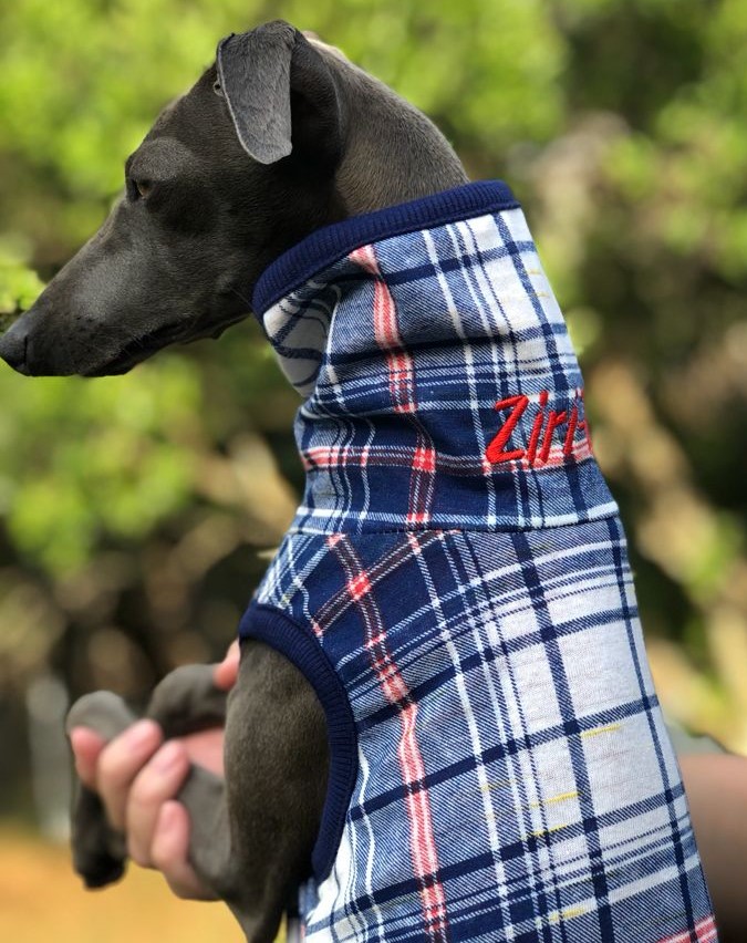 CLIQUE NA FOTO - 
TAM Galguinhos e Whippets 
R$ 120,00 Dupla Face