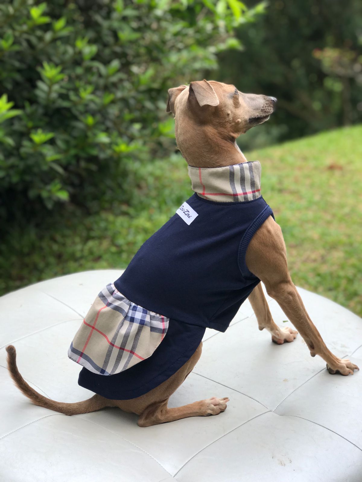 CLIQUE NA FOTO - Coleção Grifinha Ziri R$ 198,00 + frete